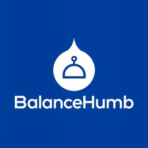 BalanceHubb Logo